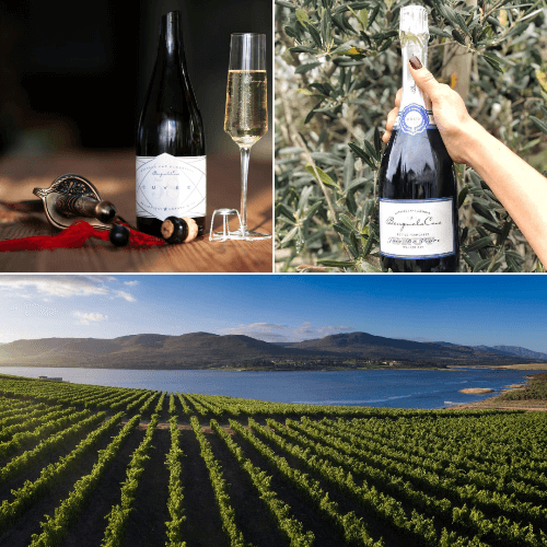 Our Wines And Stories: Benguela Cove Méthode Cap Classique