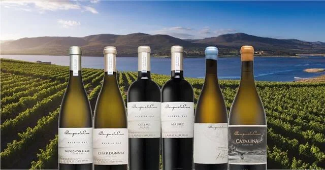 Tim Atkin South Africa Wine Report 2020