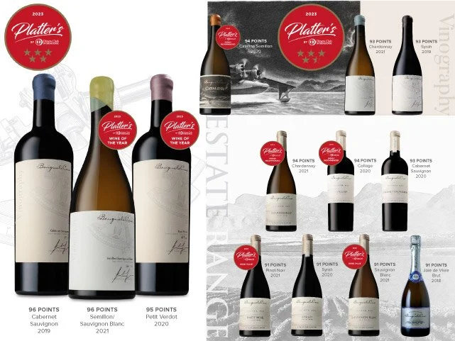Platter’s Top Awards for British Vineyard Owner