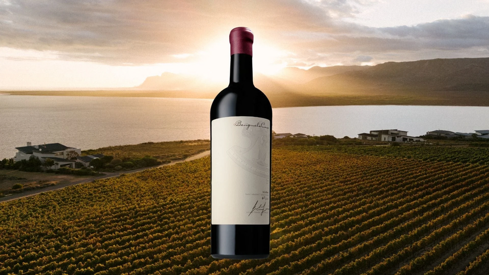 How Malbec Grows in Cool-Climate Walker Bay