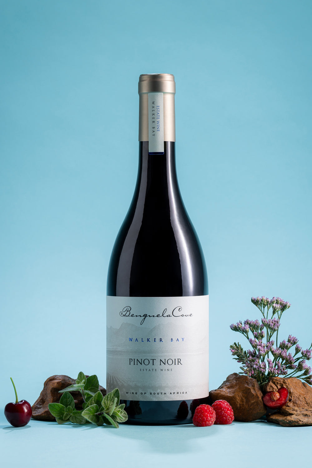 Bottle of Pinot Noir wine with decorative elements on a light blue background