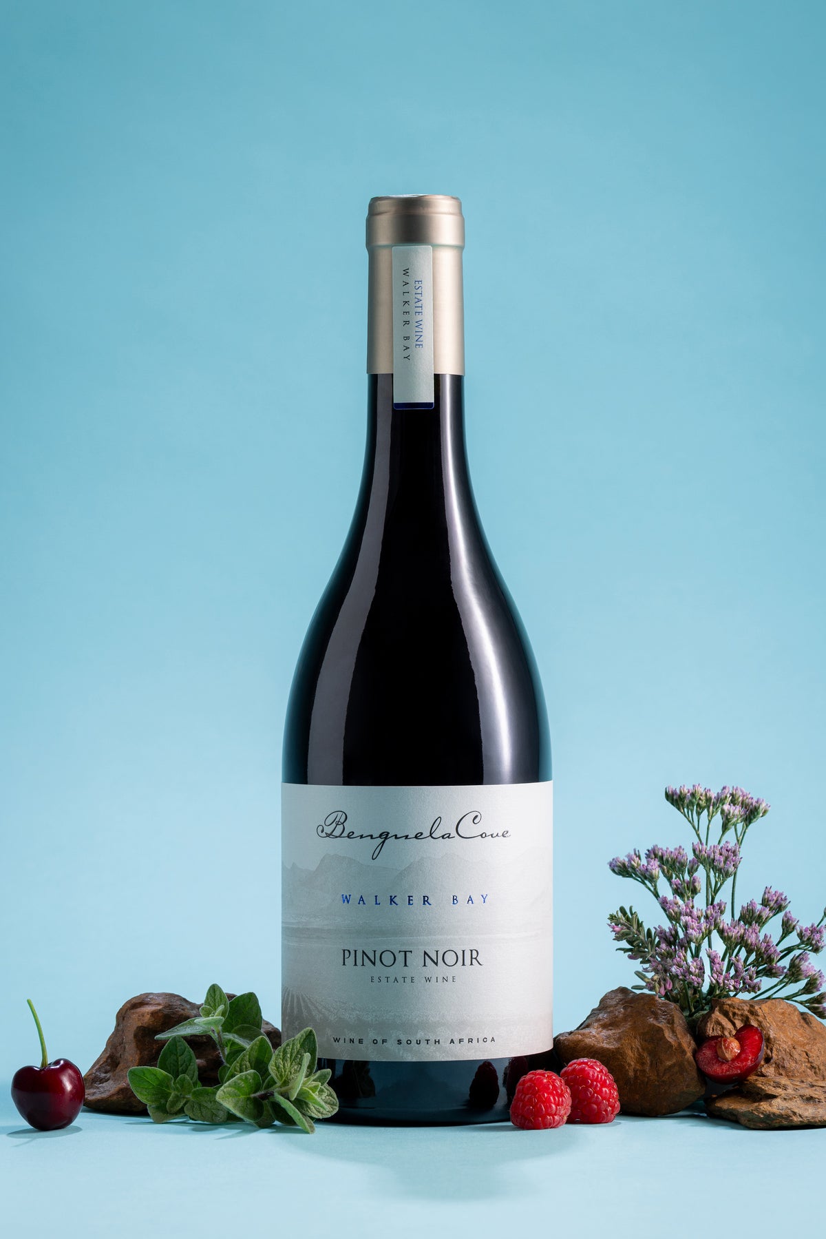 Bottle of Pinot Noir wine with decorative elements on a light blue background