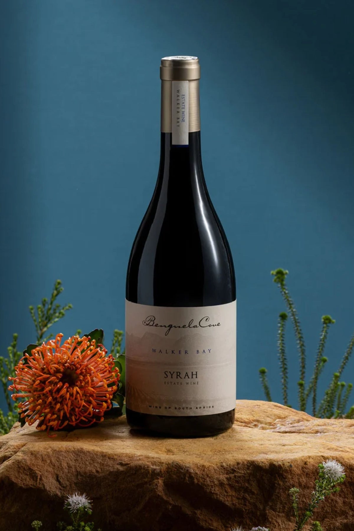A bottle of Burgundy from the Cava Estate, Nulka Bay, Syrah, standing on a rustic stone slab next to an orange protea flower against a dark teal background.