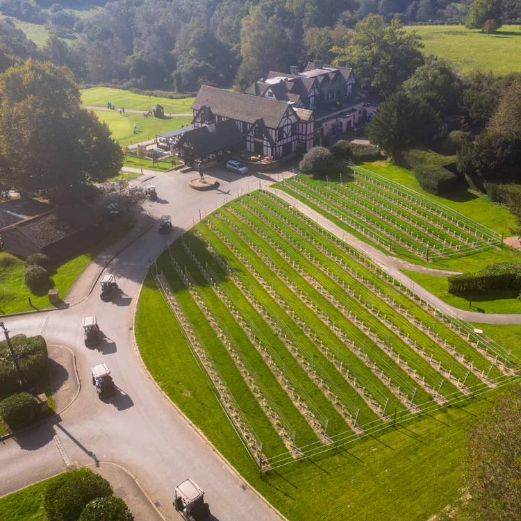 multimedia collage image